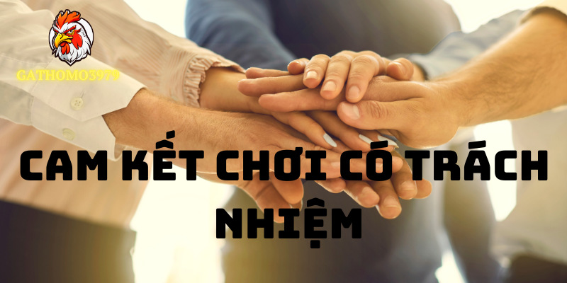 Thành viên phải cam kết trung thực và chơi có trách nhiệm