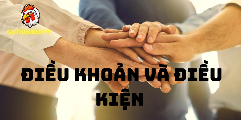 Điều khoản và điều kiện liên quan đến trách nhiệm của cả hai bên.