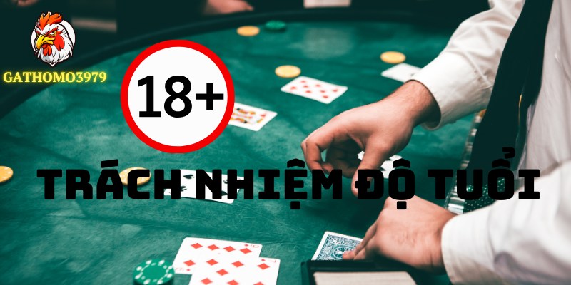 ĐIỀU KHOẢN VÀ ĐIỀU KIỆN